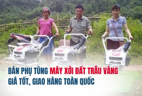 Bán phụ tùng máy xới đất Trâu Vàng giá tốt, giao hàng toàn quốc
