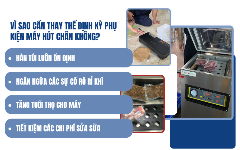 Những phụ kiện máy ép chân không nào cần thay thế định kỳ
