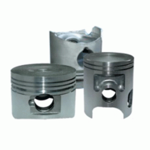 Bít tông đầm cóc