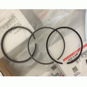 Xéc măng đầm cóc