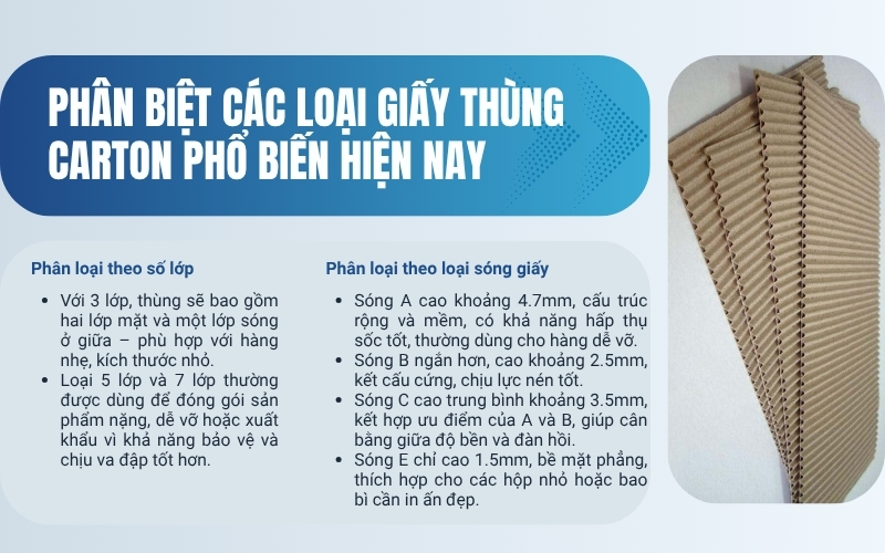 Phân biệt các loại giấy thùng carton phổ biến hiện nay