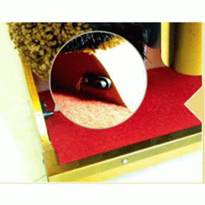 Mắt đọc (cảm biến)