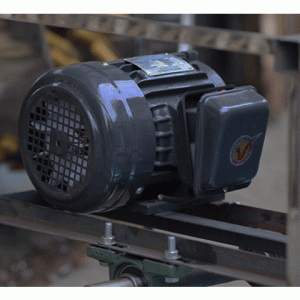 Động cơ máy vặt lông gà